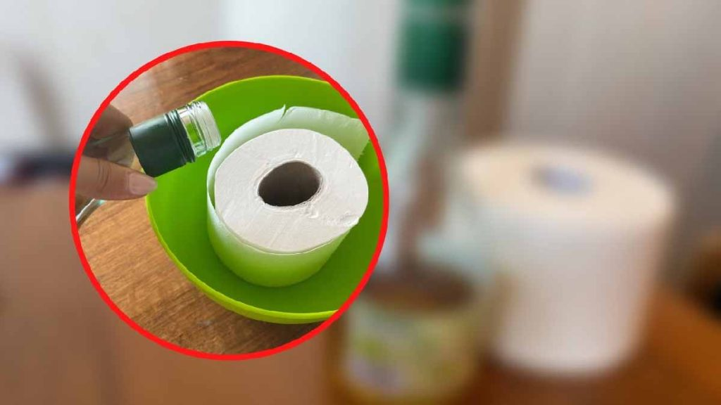 ¿Qué pasa si sumerges el papel higiénico en vinagre? El resultado te dejará sin palabras