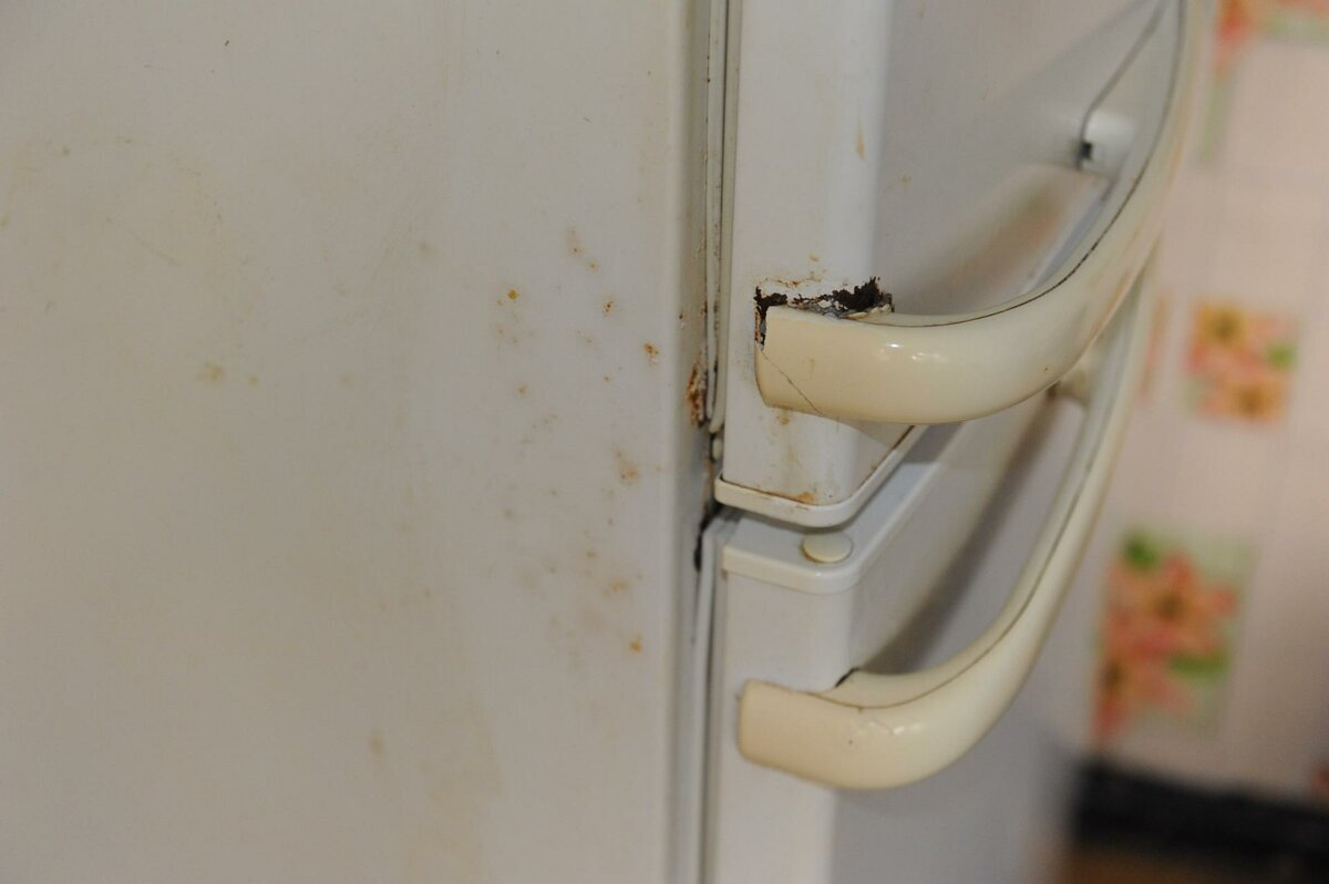 Con medios improvisados eliminamos amarillamientos de refrigeradores, enchufes y otras superficies