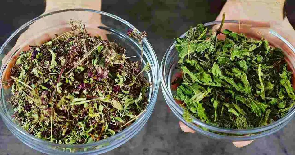 Estos dos ingredientes son más potentes que el ajo y el limón y eliminan todos los hongos y bacterias.