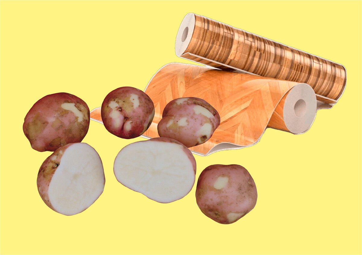 Limpieza ecológica en casa: así se limpian los suelos de forma fácil y rápida sin productos químicos