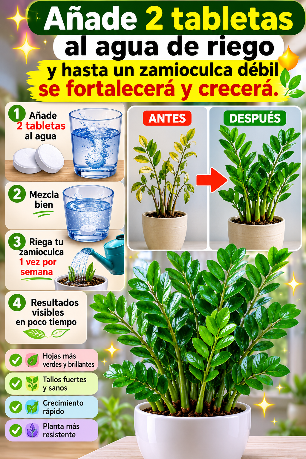 Añade 2 tabletas al agua de riego y hasta un zamioculca débil se fortalecerá y crecerá.
