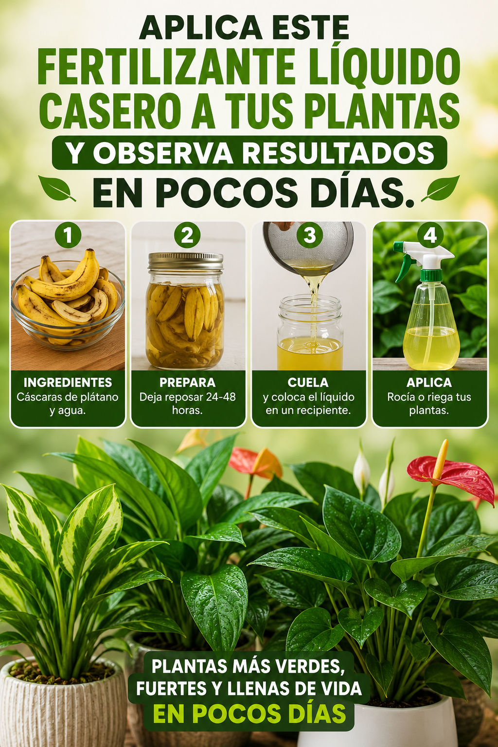 Aplica este fertilizante líquido casero a tus plantas y observa resultados en pocos días.