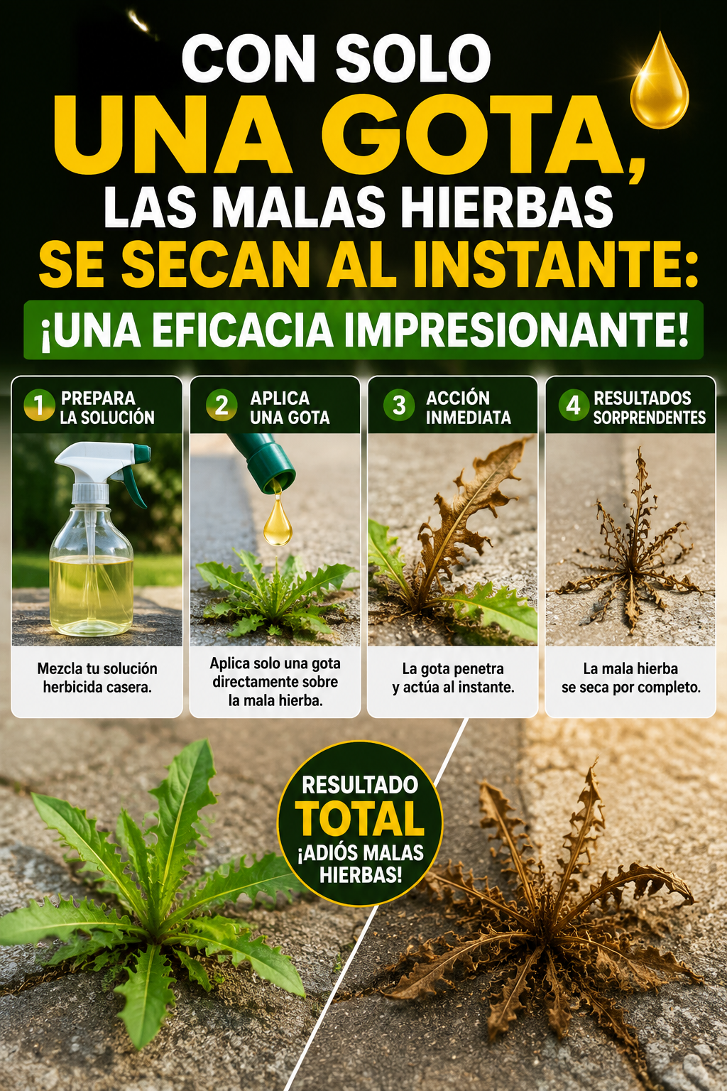 Con solo una gota, las malas hierbas se secan al instante: ¡una eficacia impresionante!