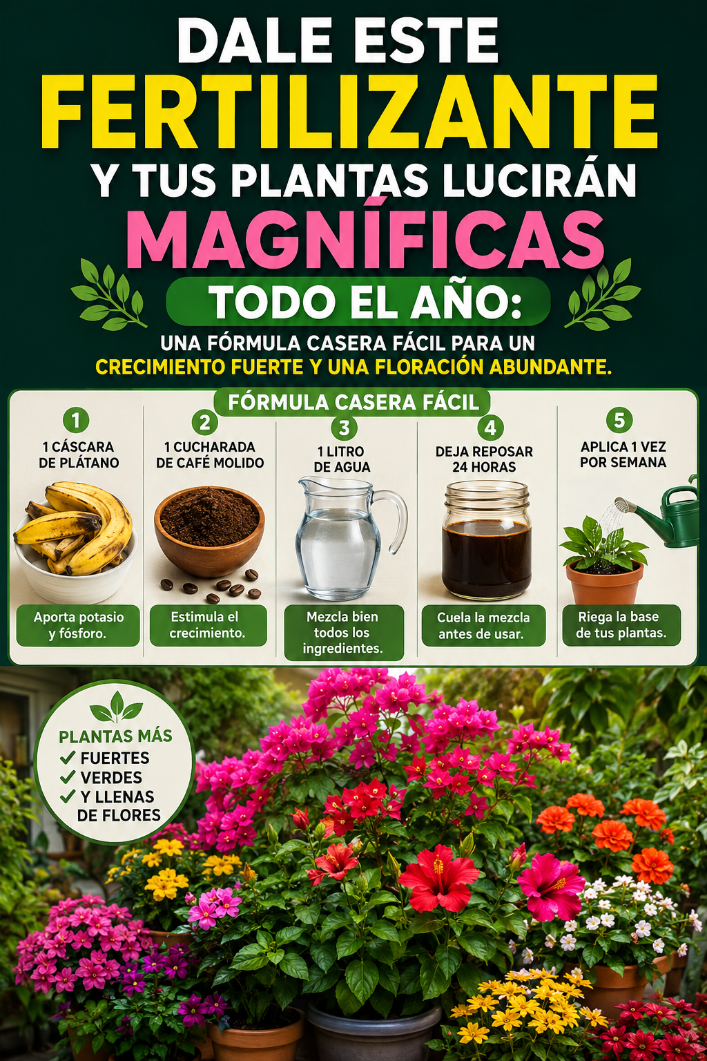 Dale este fertilizante y tus plantas lucirán magníficas todo el año: una fórmula casera fácil para un crecimiento fuerte y una floración abundante.