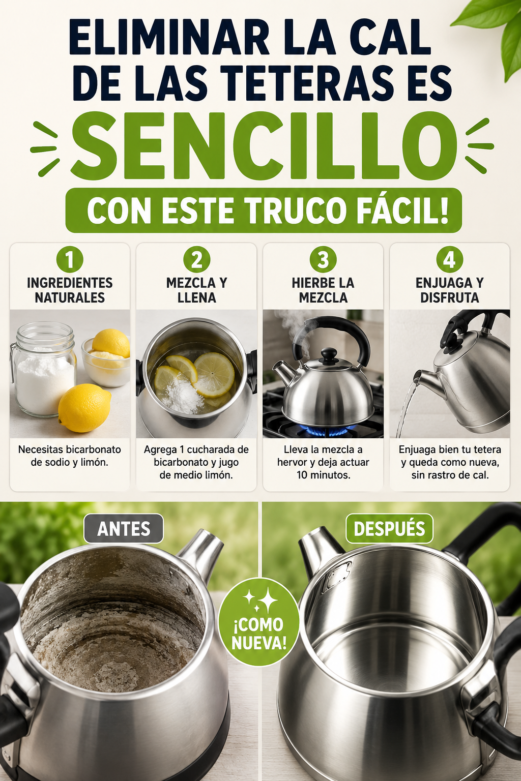 Eliminar la cal de las teteras es SENCILLO con este truco fácil!