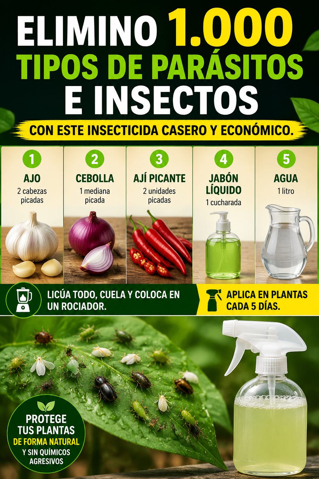 Elimino 1.000 tipos de parásitos e insectos con este insecticida casero y económico.