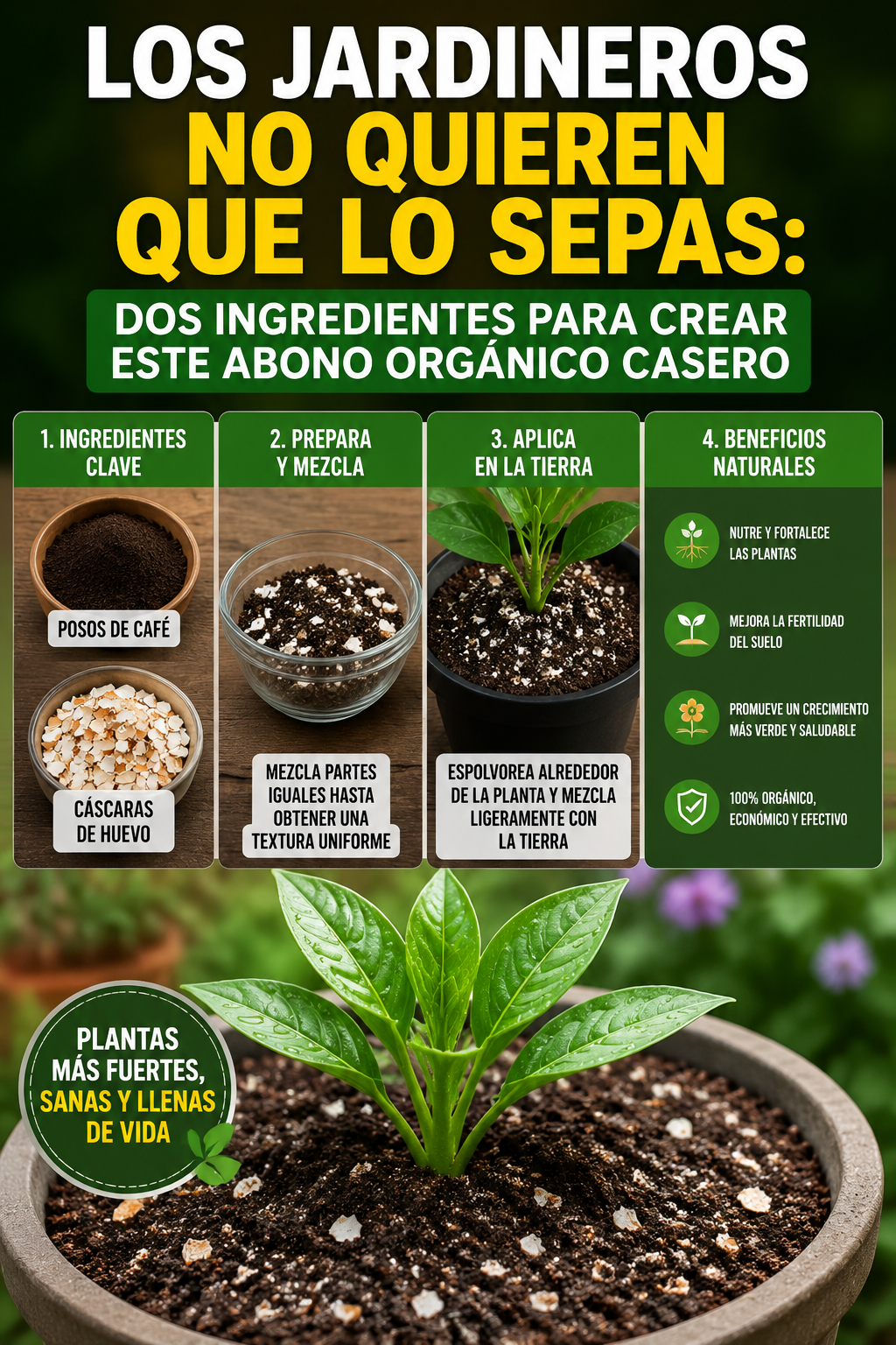 Los jardineros no quieren que lo sepas: dos ingredientes para crear este abono orgánico casero