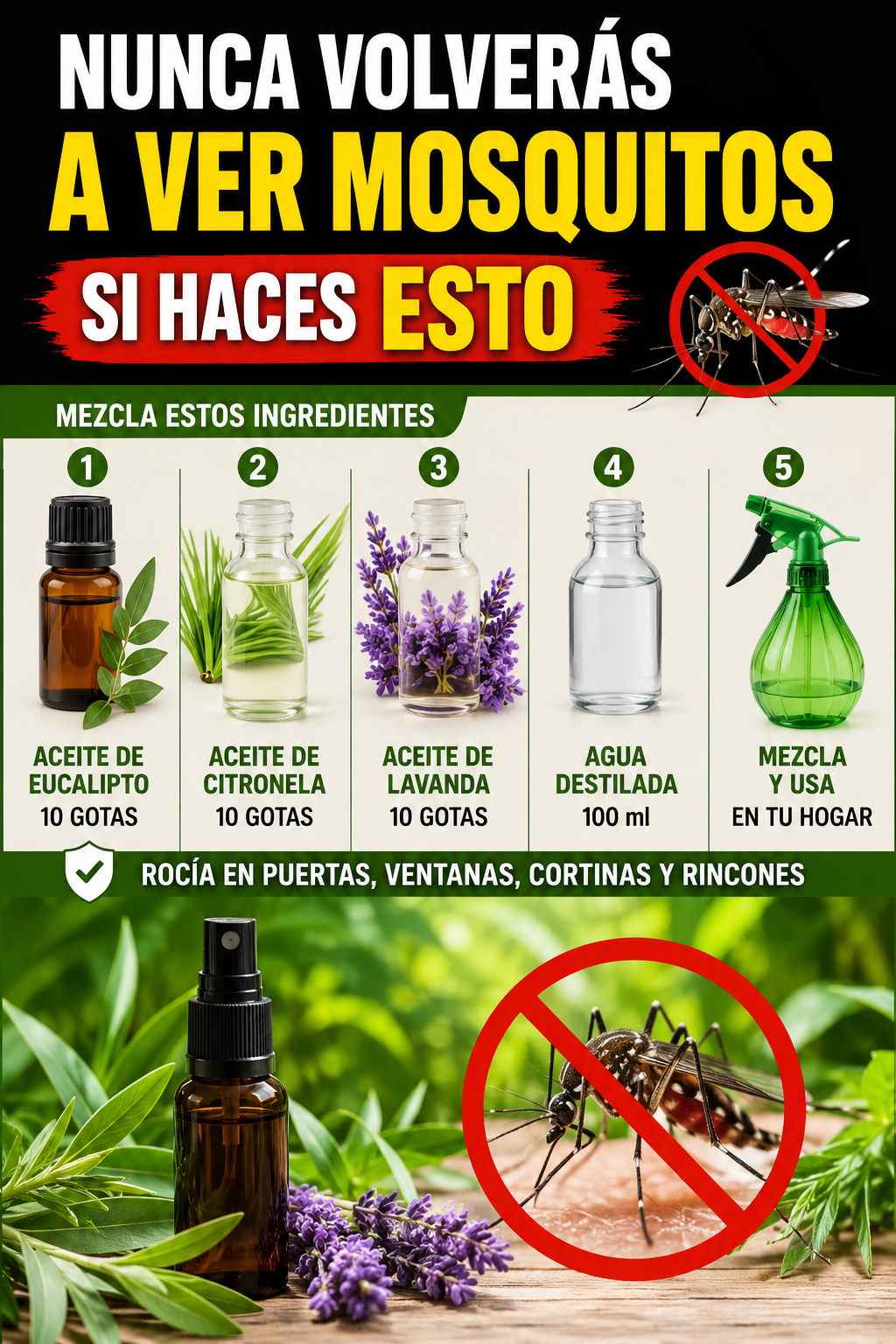Nunca volverás a ver mosquitos si haces ESTO