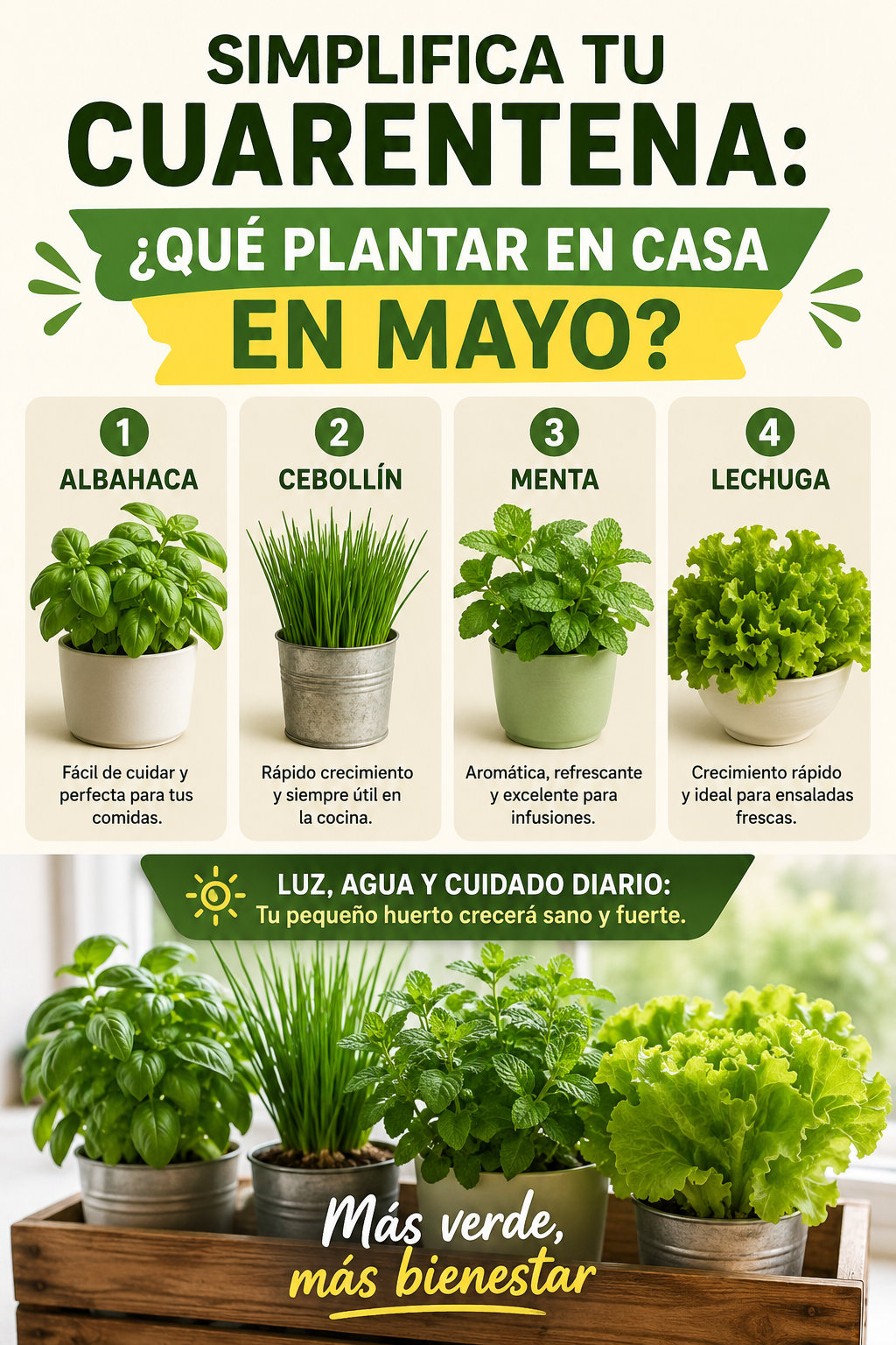 Simplifica tu cuarentena: ¿qué plantar en casa en mayo?