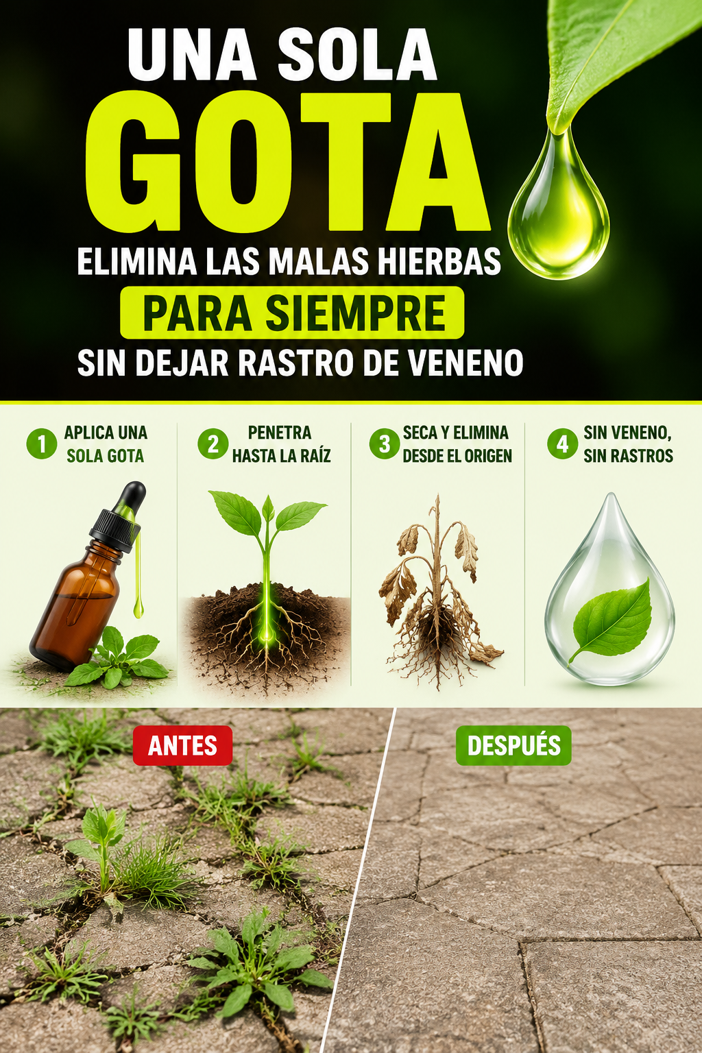 Una sola gota elimina las malas hierbas para siempre sin dejar rastro de veneno