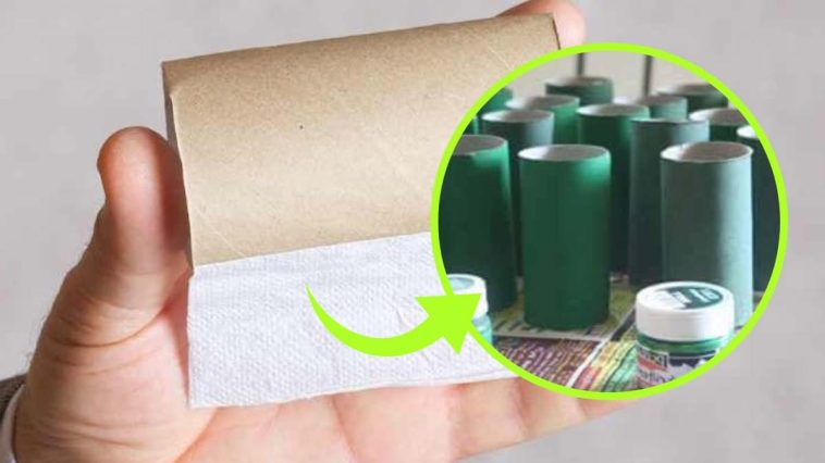 5 usos alternativos para los rollos de papel higiénico: deja de tirarlos