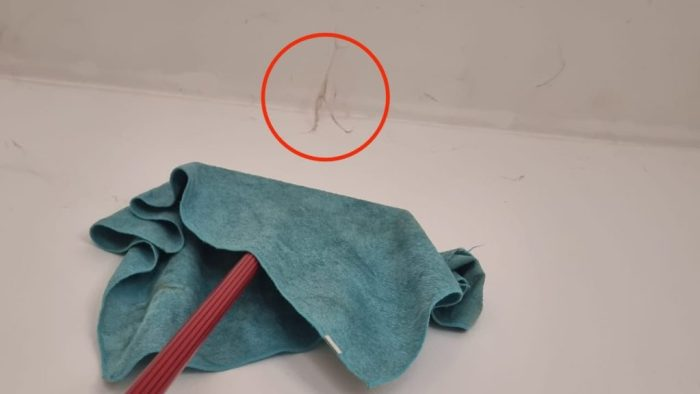 Adiós telarañas en casa, cómo eliminarlas (sin esfuerzo) para que no vuelvan jamás