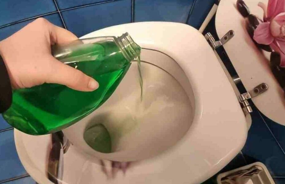 Baños frescos y muy limpios durante una semana, ¡los usan incluso los encargados de la limpieza!