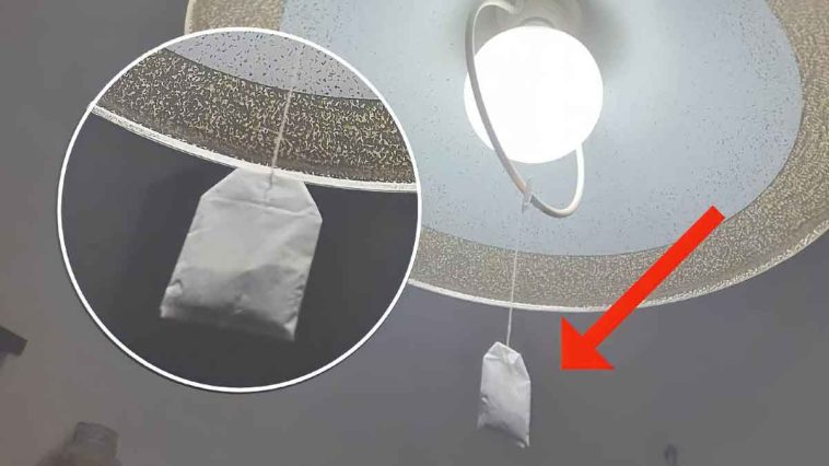 Colgaste una bolsita de té en la lámpara: ahorrarás considerablemente