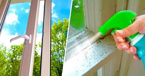 Cómo usar el vinagre para mantener lejos a los insectos al inicio de la primavera
