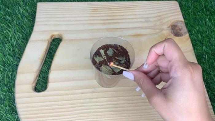 Con este antiguo método casero resolverán muchísimos problemas en casa