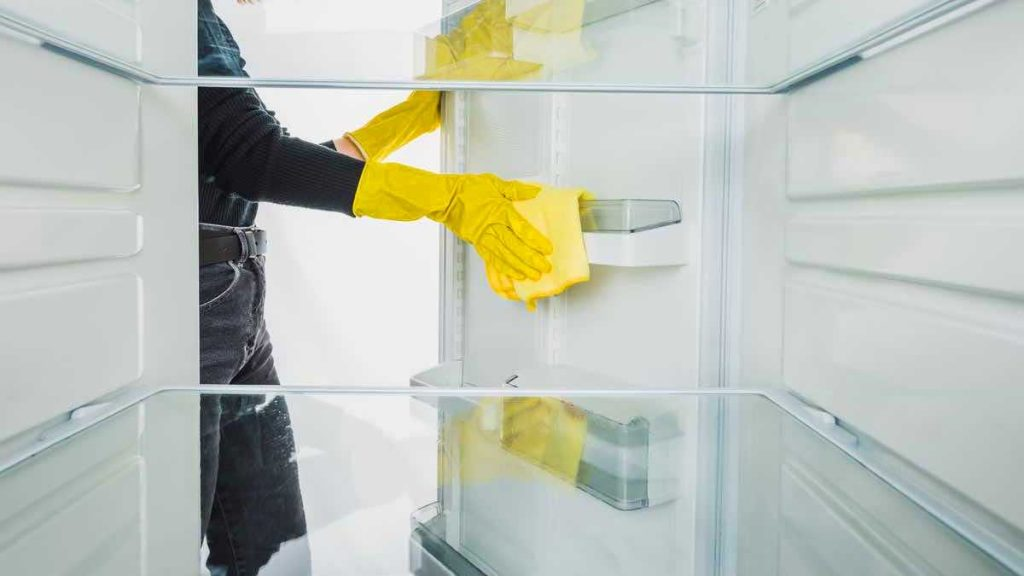 Con este viejo método, el moho y la suciedad del refrigerador son cosa del pasado