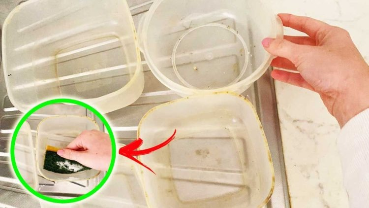 Consejos efectivos para desengrasar y blanquear los recipientes de plástico