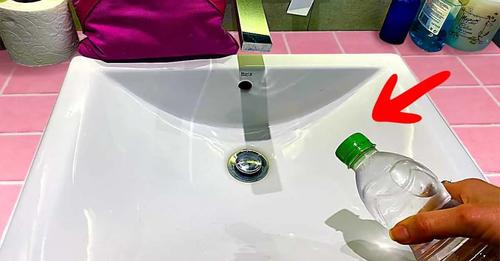 El consejo inesperado y 100% natural para limpiar y perfumar tu baño