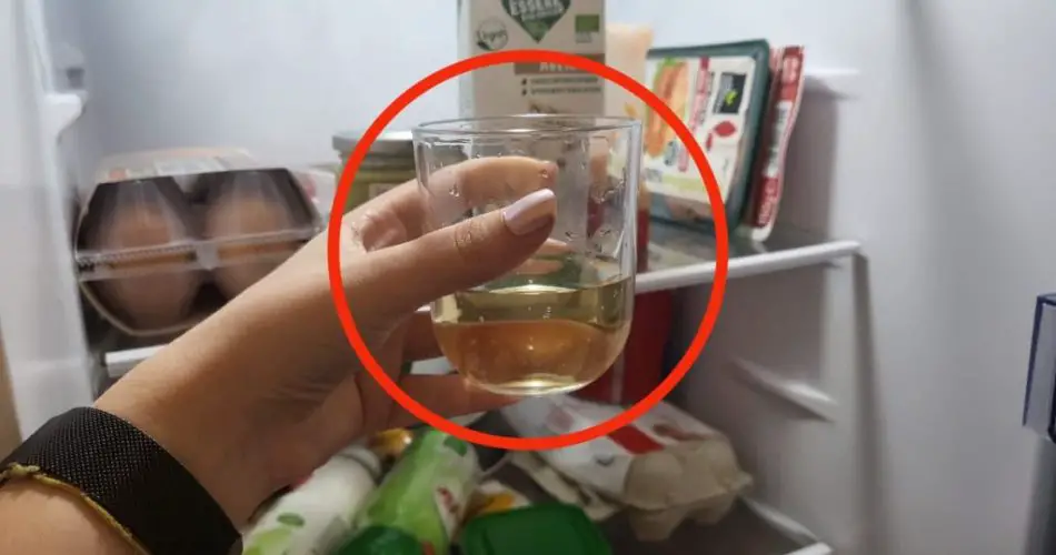El vinagre en el frigorífico es la solución a un problema común: esto es de qué se trata
