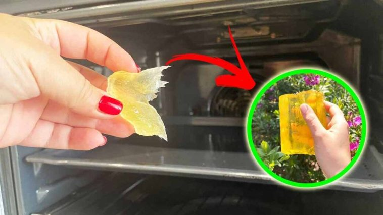 Encuentra un nuevo horno usando el truco del jabón amarillo