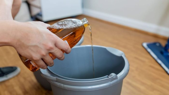 Este repelente natural ahuyenta las hormigas y perfuma todos los suelos de la casa