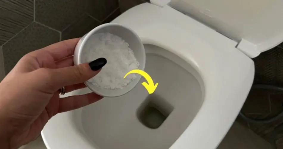 Fresco y muy aromático sin olor, el remedio natural más potente que existe