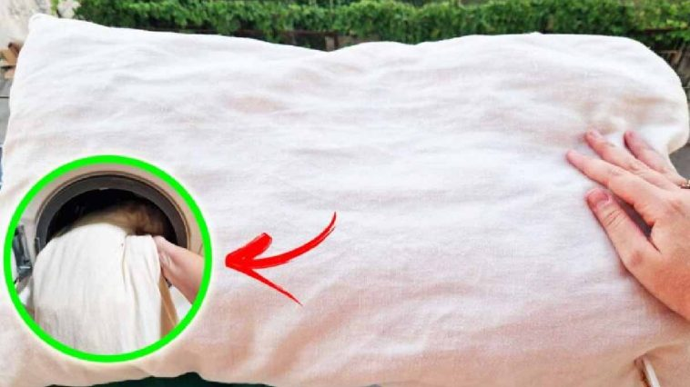 Lava las almohadas de esta manera antes de que llegue el invierno