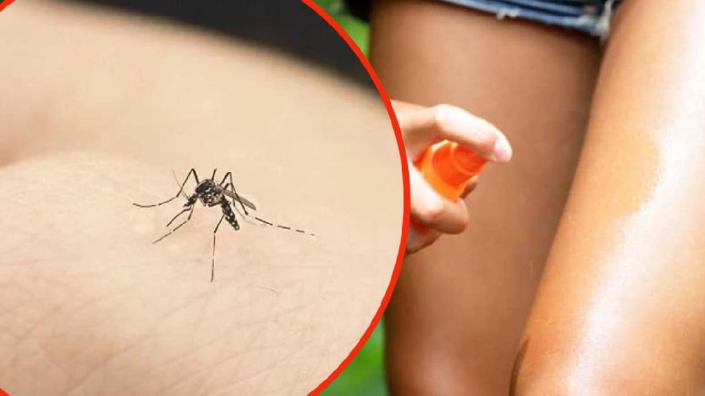 Repele inmediatamente los mosquitos con este producto de fuerte olor: te sorprenderán los resultados