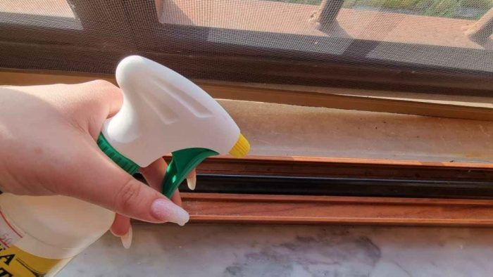 Rocíalo en los marcos de las ventanas: insectos, chinches y moscas desaparecerán