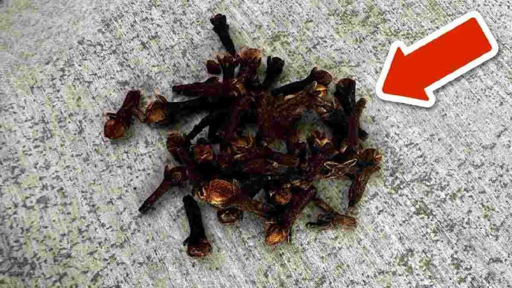 Solo un puñado de este producto natural y dirás adiós a un problema común del verano
