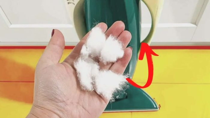 ¿Alguna vez has probado a poner algodón en la aspiradora? Esto resuelve un problema muy común para ti