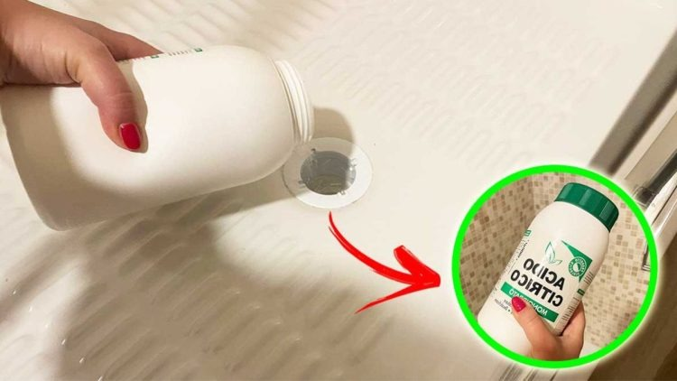 ¿Cómo eliminar los malos olores de la ducha? – Sugerencias y consejos