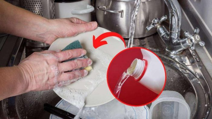 ¿Qué pasa si lavas los platos con lejía? La respuesta que no esperabas