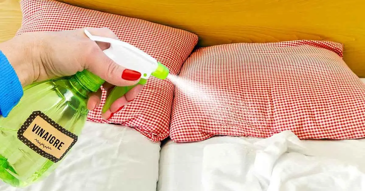 Cómo planchar ropa o ropa de cama rápidamente sin necesidad de planchado rutinario. Un método que garantiza resultados