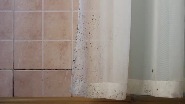 En la cortina de baño hay más gérmenes que en el asiento del inodoro. 3 formas fáciles de eliminar residuos pegajosos y moho de las cortinas