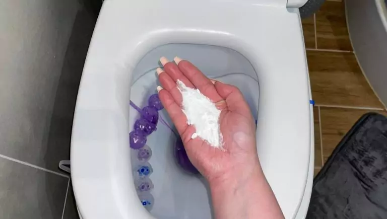 En la tienda no se puede comprar: eche un puñado de este polvo en el inodoro y el problema de las manchas y el olor a cal estará solucionado