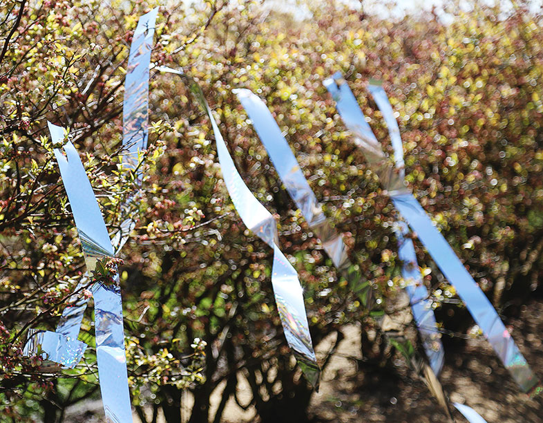 Sartén sin tapa y otros problemas domésticos: 8 trucos inusuales con papel de aluminio que realmente funcionan