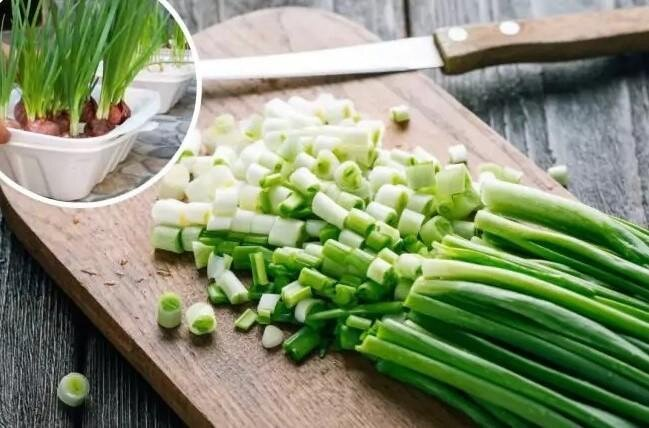 Tengo cebollas frescas en casa todo el año. Te revelo un truco para cultivar cebollas rápidamente