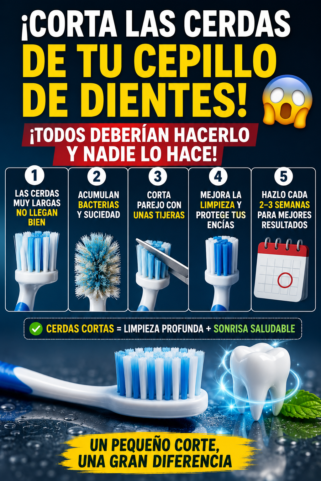 ¡Corta las cerdas de tu cepillo de dientes! ¡Todos deberían hacerlo y nadie lo hace! 😱