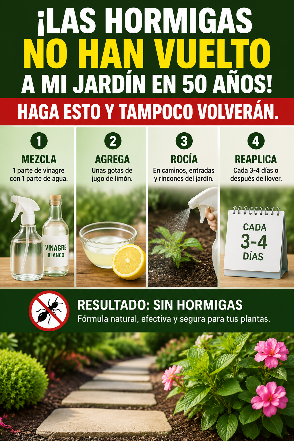 ¡LAS HORMIGAS NO HAN VUELTO A MI JARDÍN EN 50 AÑOS! HAGA ESTO Y TAMPOCO VOLVERÁN