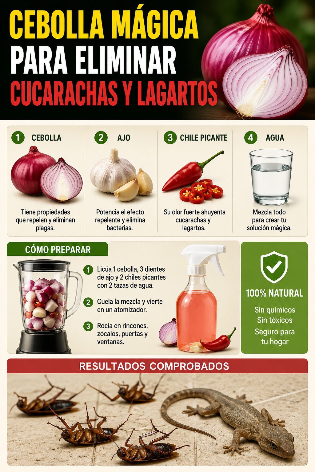 Cebolla mágica para eliminar cucarachas y lagartos