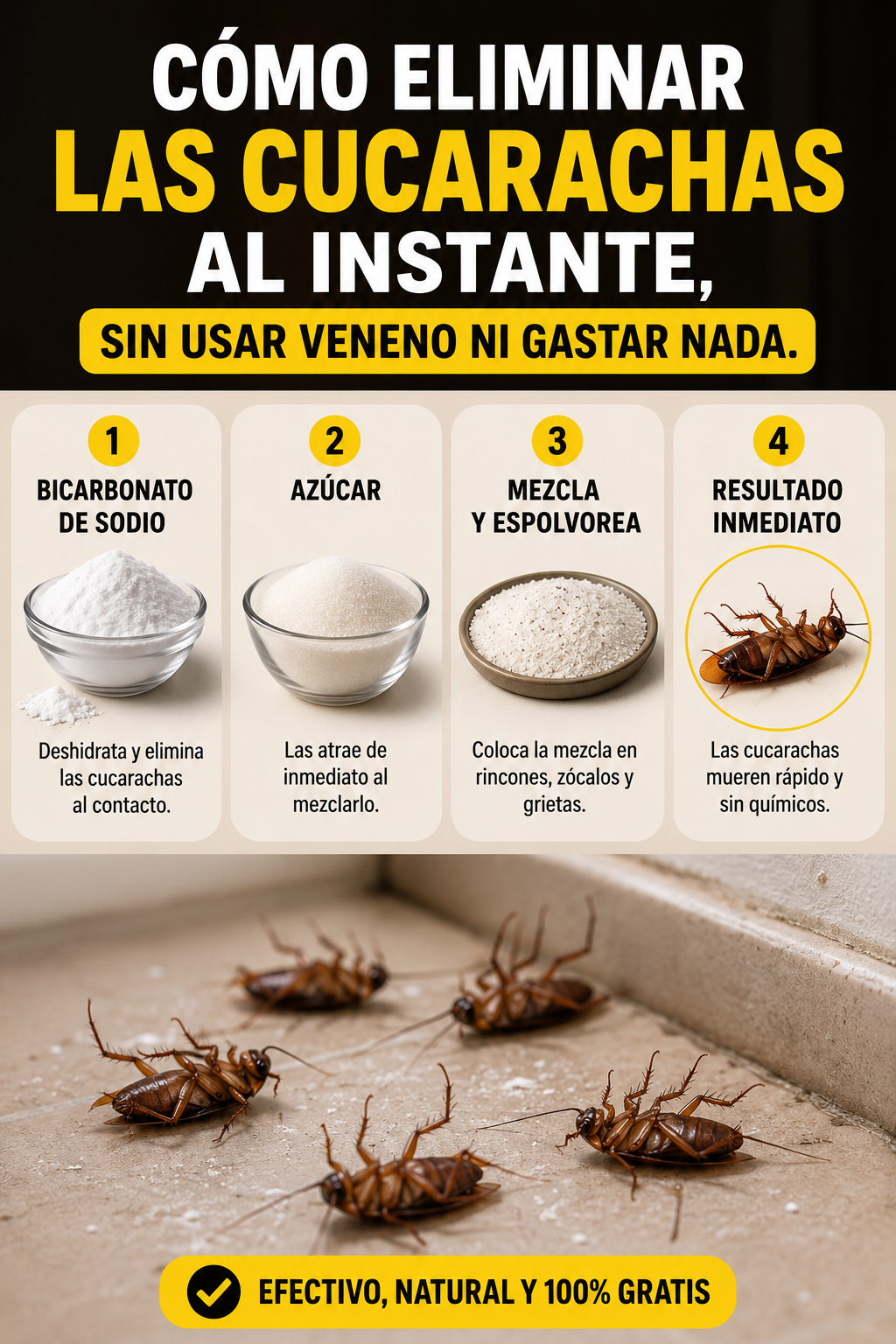 Cómo eliminar las cucarachas al instante, sin usar veneno ni gastar nada.