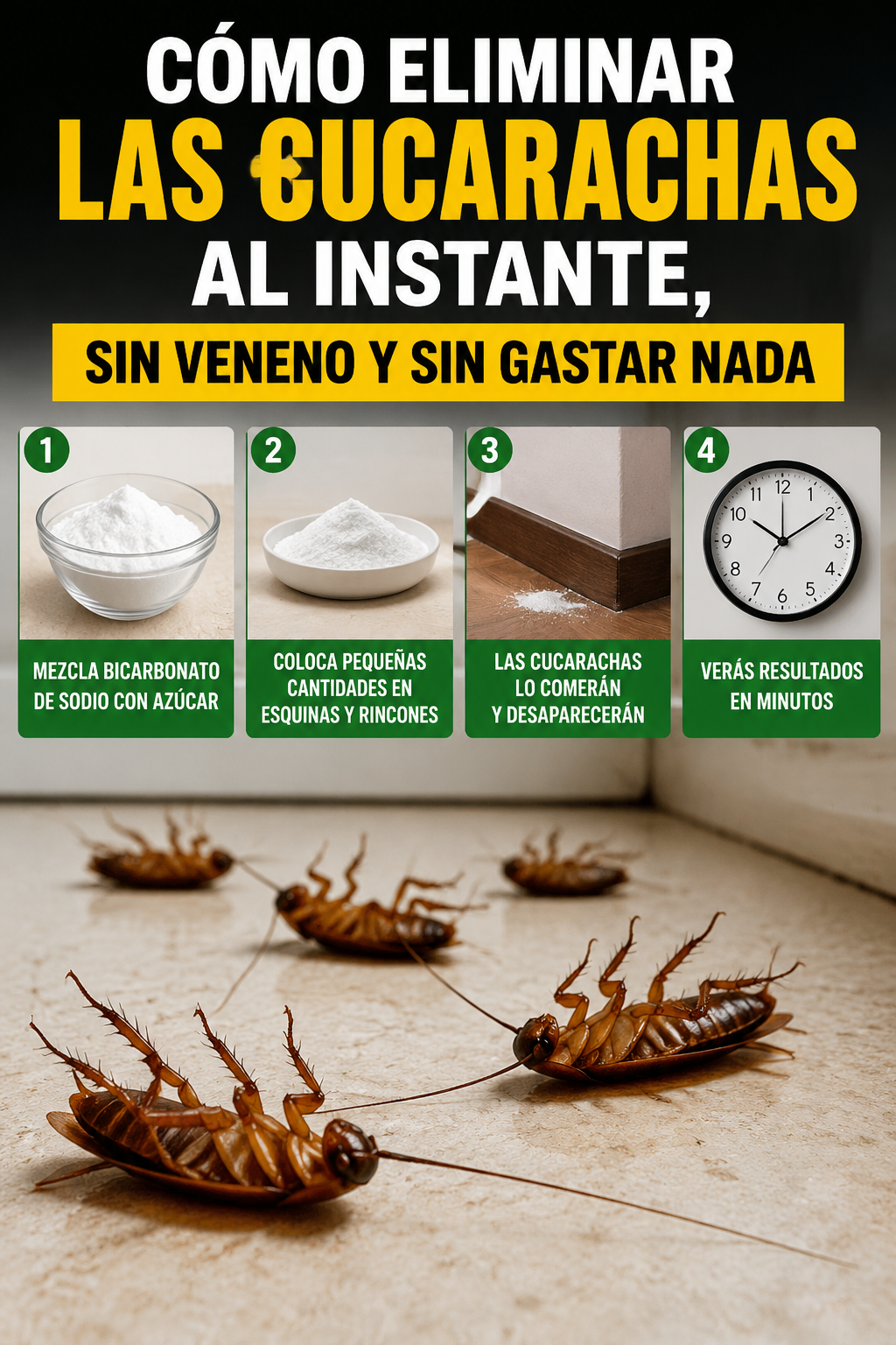 Cómo eliminar las cucarachas al instante, sin veneno y sin gastar nada
