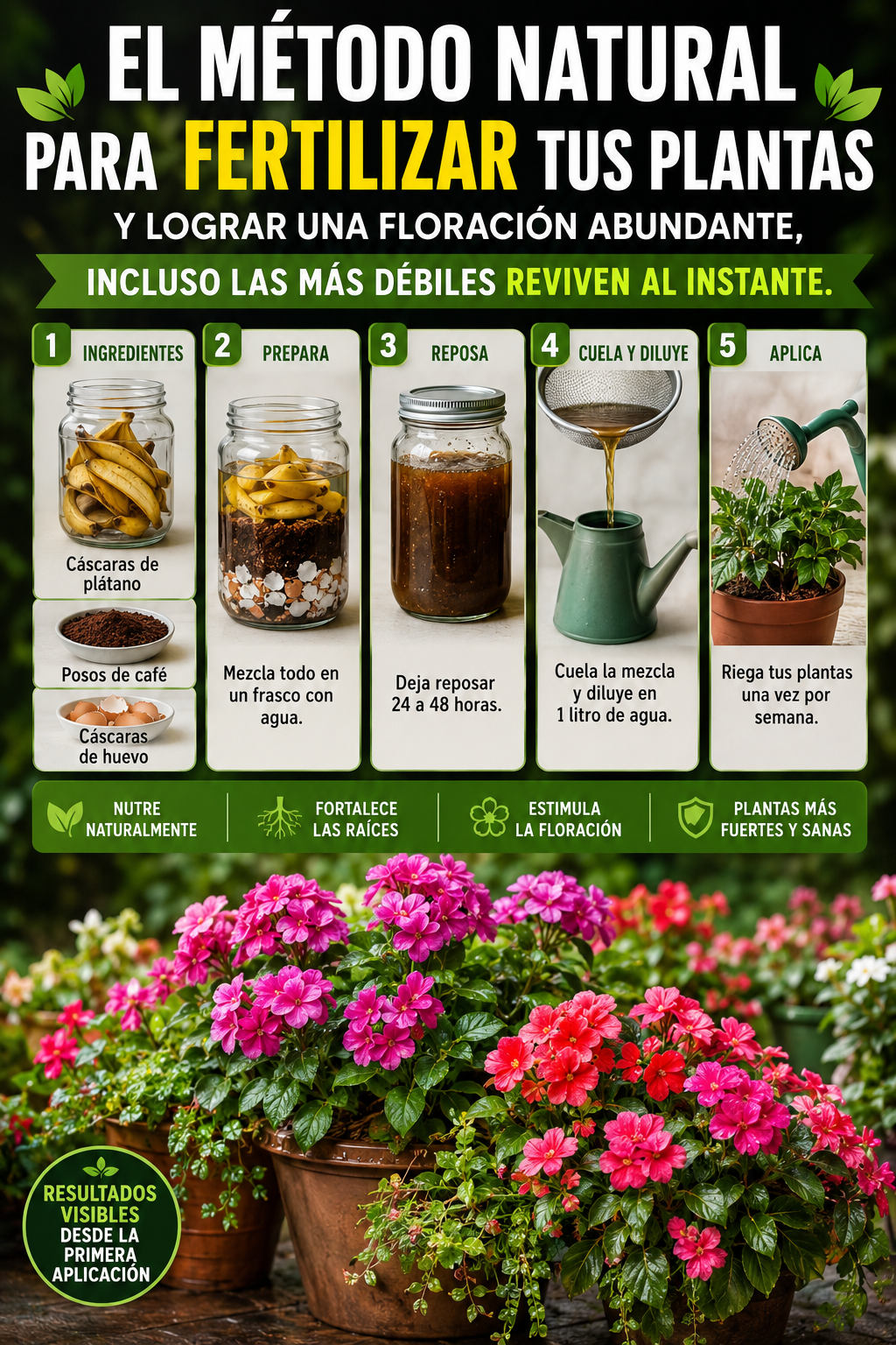 El método natural para fertilizar tus plantas y lograr una floración abundante, incluso las más débiles reviven al instante.