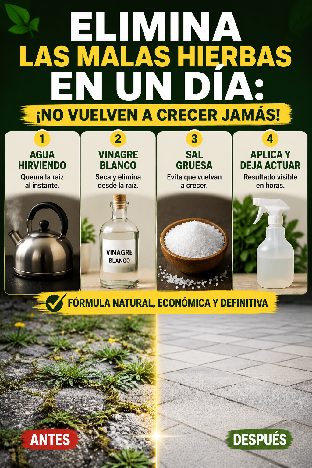 Elimina las malas hierbas en un día: ¡No vuelven a crecer jamás!