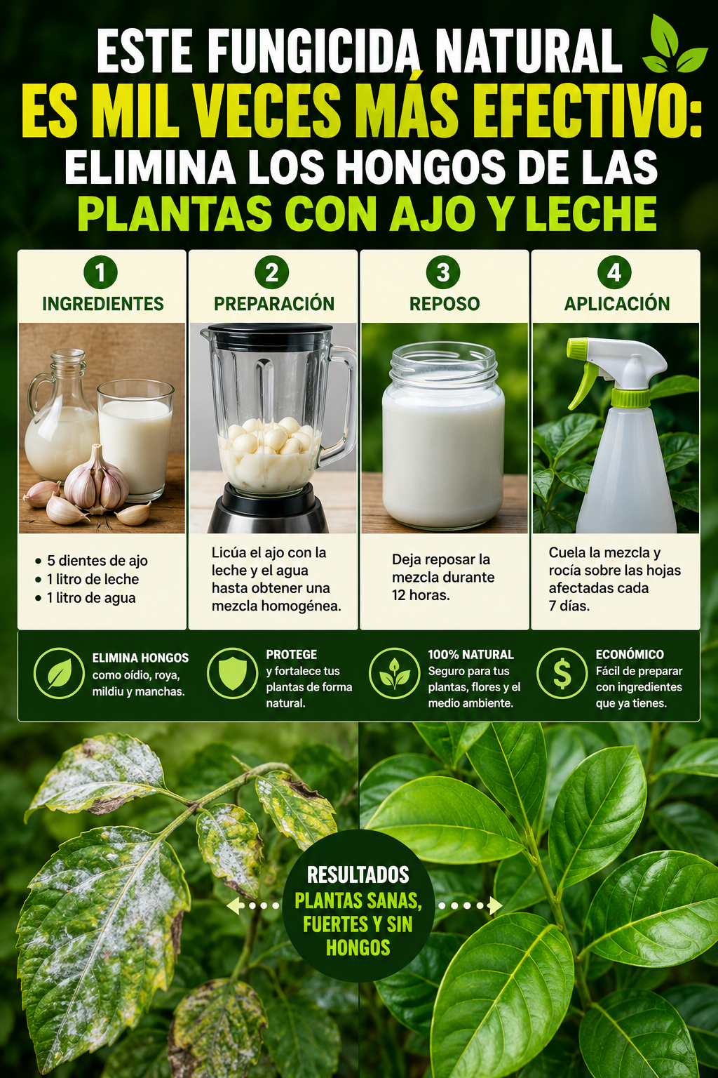 Este fungicida natural es mil veces más efectivo: elimina los hongos de las plantas con ajo y leche