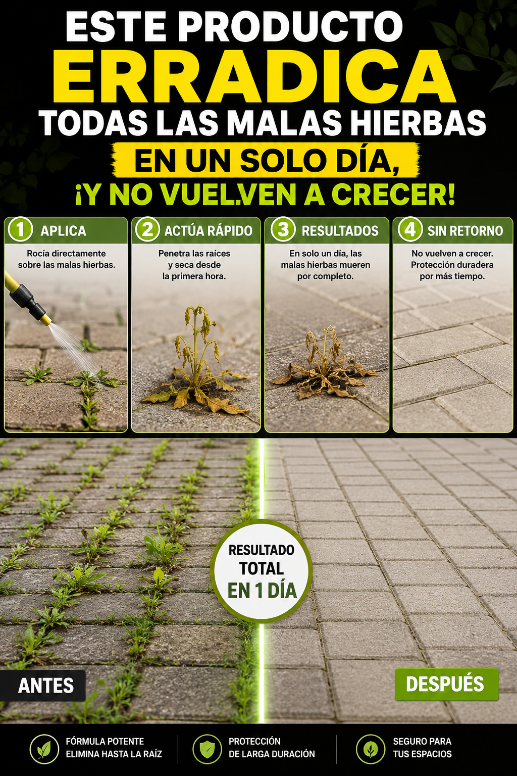 Este producto erradica todas las malas hierbas en un solo día, ¡y no vuelven a crecer!
