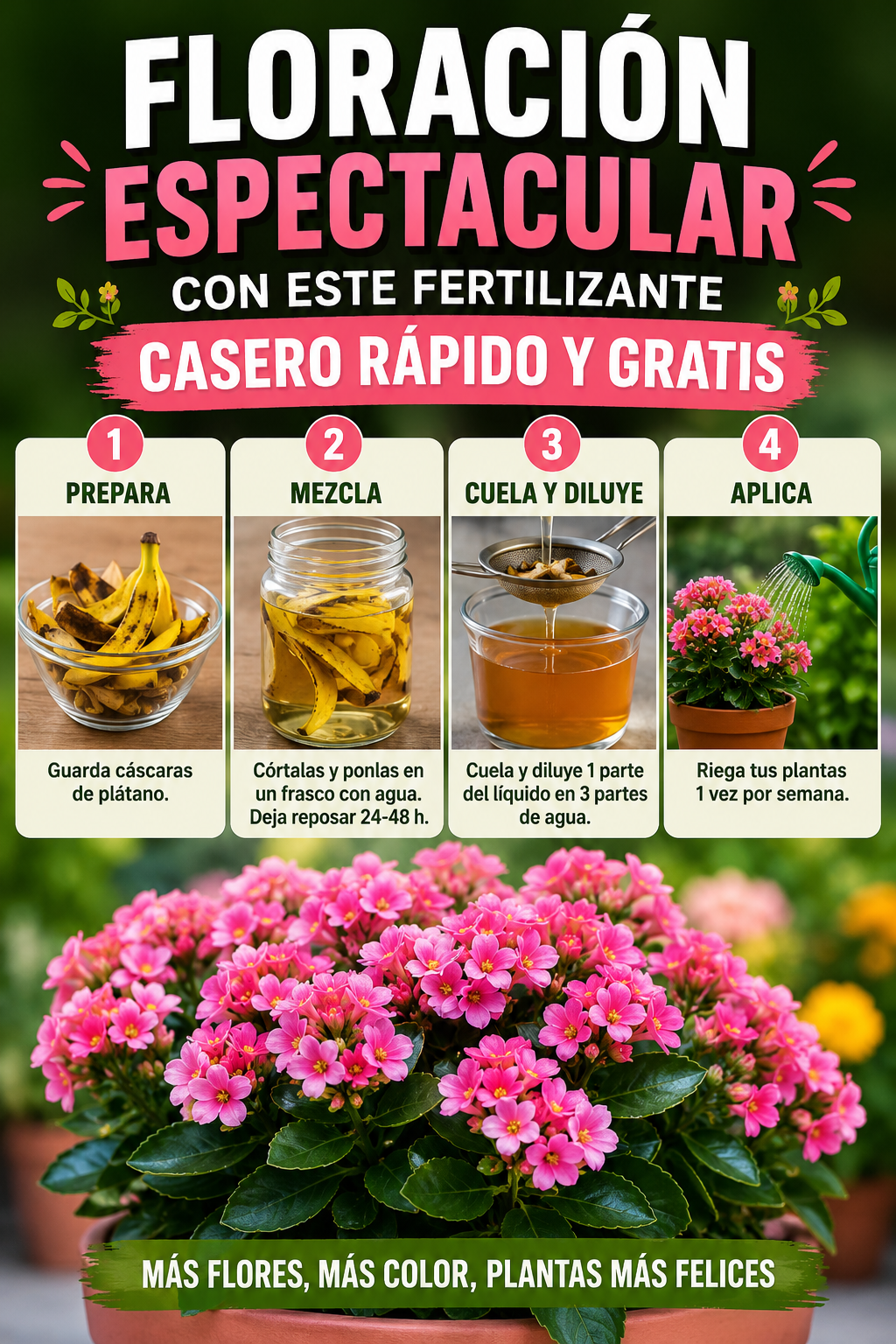 Floración espectacular con este fertilizante casero rápido y gratis