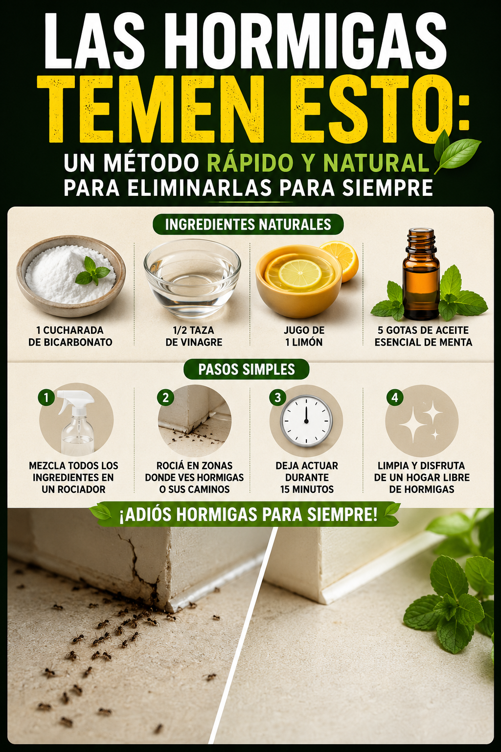 Las hormigas temen esto: un método rápido y natural para eliminarlas para siempre